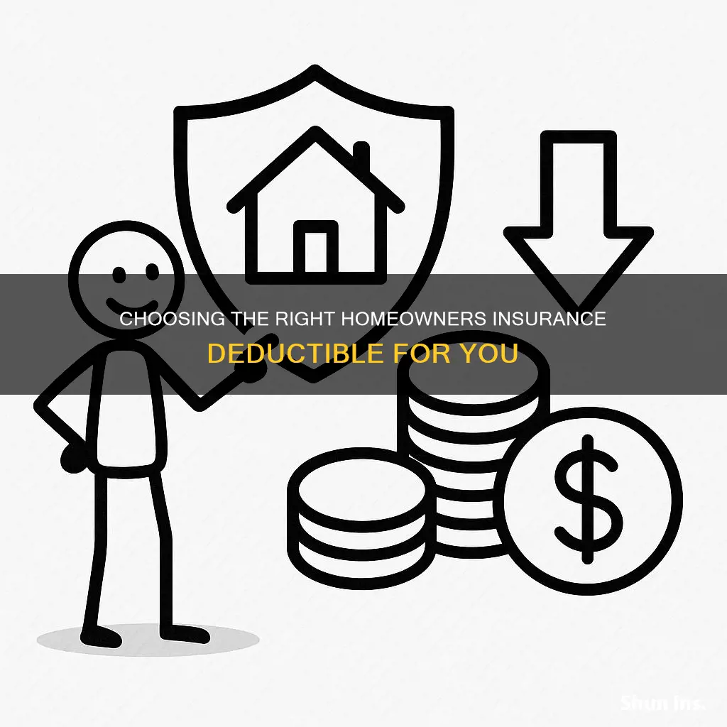 what deductible should I have for homeowners insurance