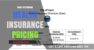 Decoding Health Insurance Costs: Factors That Influence Your Premiums