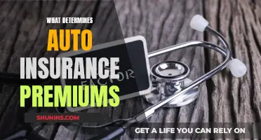 Understanding Factors Affecting Auto Insurance Premiums