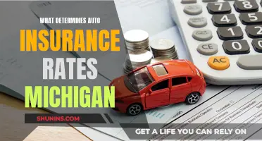 Auto Insurance Rates in Michigan: What Factors Matter?