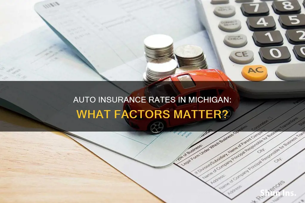 what determines auto insurance rates michigan