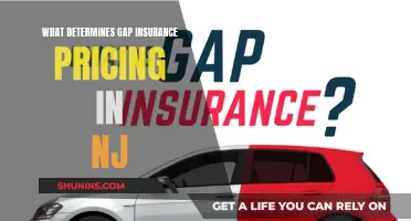 Gap Insurance Pricing in New Jersey