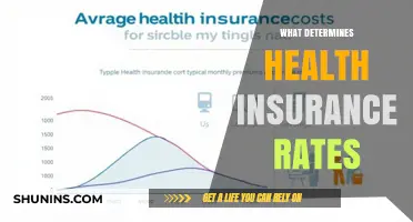 Decoding Health Insurance Rates: A Comprehensive Guide