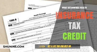 Decoding Health Insurance Tax Credits: What Factors Matter Most?