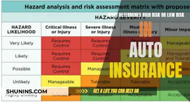 Auto Insurance Risk: What Factors Determine Premiums?