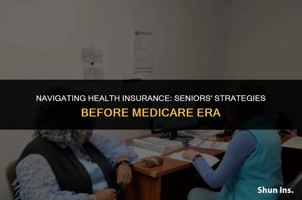 what did seniors do about health insurance before medicare