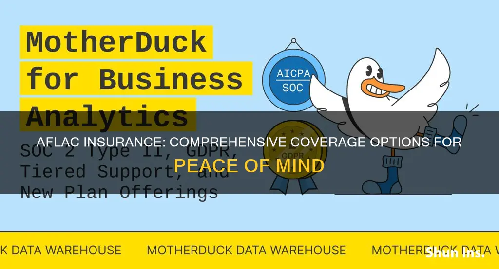 what different tyoes aflac insurance