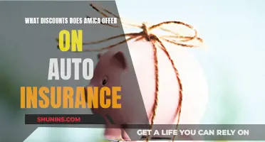 Amica Auto Insurance Discounts: What You Need to Know