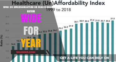 Understanding American Health Insurance Expenditure: A Nationwide Overview