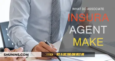 How Much Do Associate Insurance Agents Earn?
