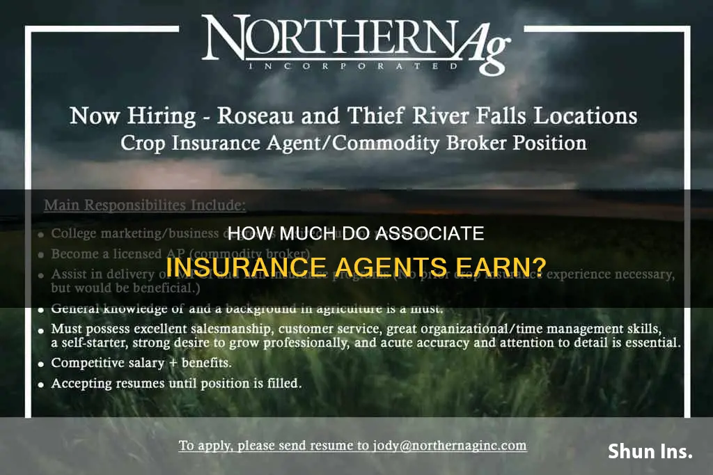 what do associate insurance agent make