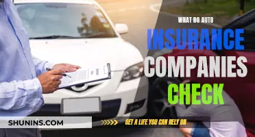 Auto Insurance Companies: What They Scrutinize Before Signing Off