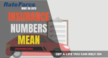 Understanding Auto Insurance Numbers: Decoding Your Policy