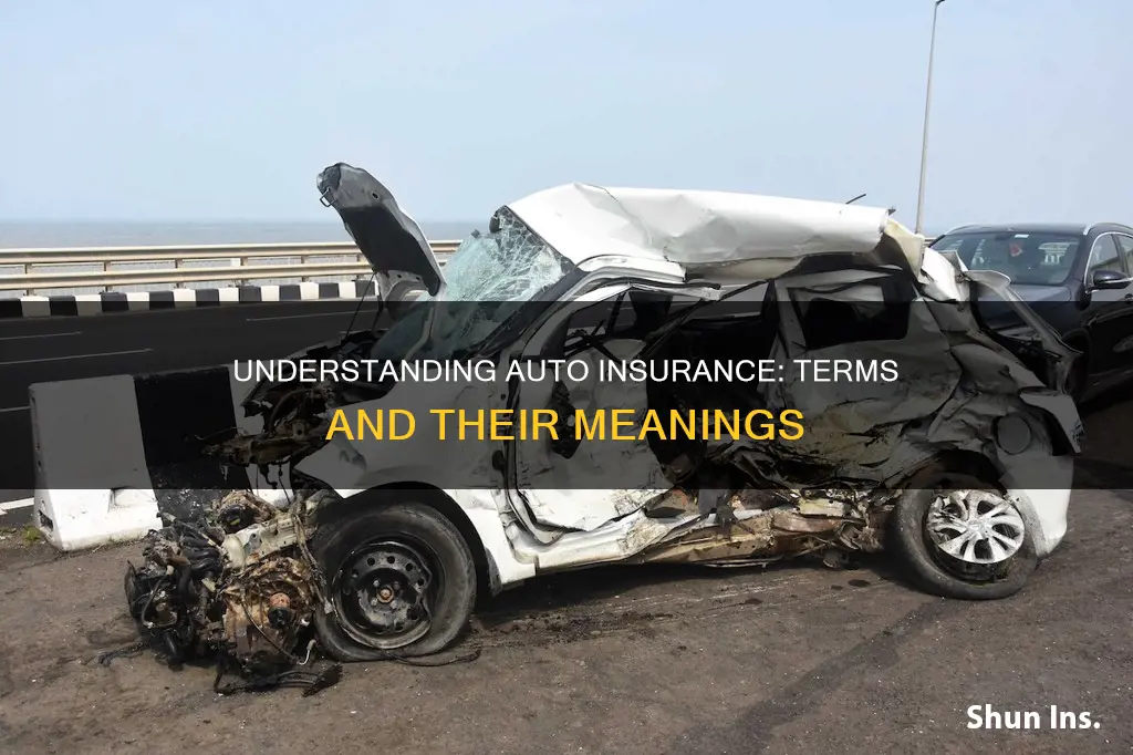 what do auto insurance terms men