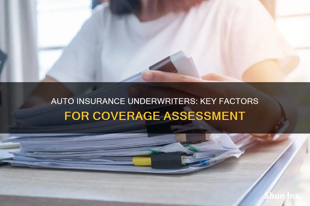 what do auto insurance underwriters look for