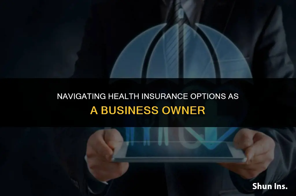 what do business owners do for health insurance