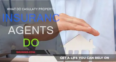 Casualty Property Insurance Agents: Protecting Your Assets