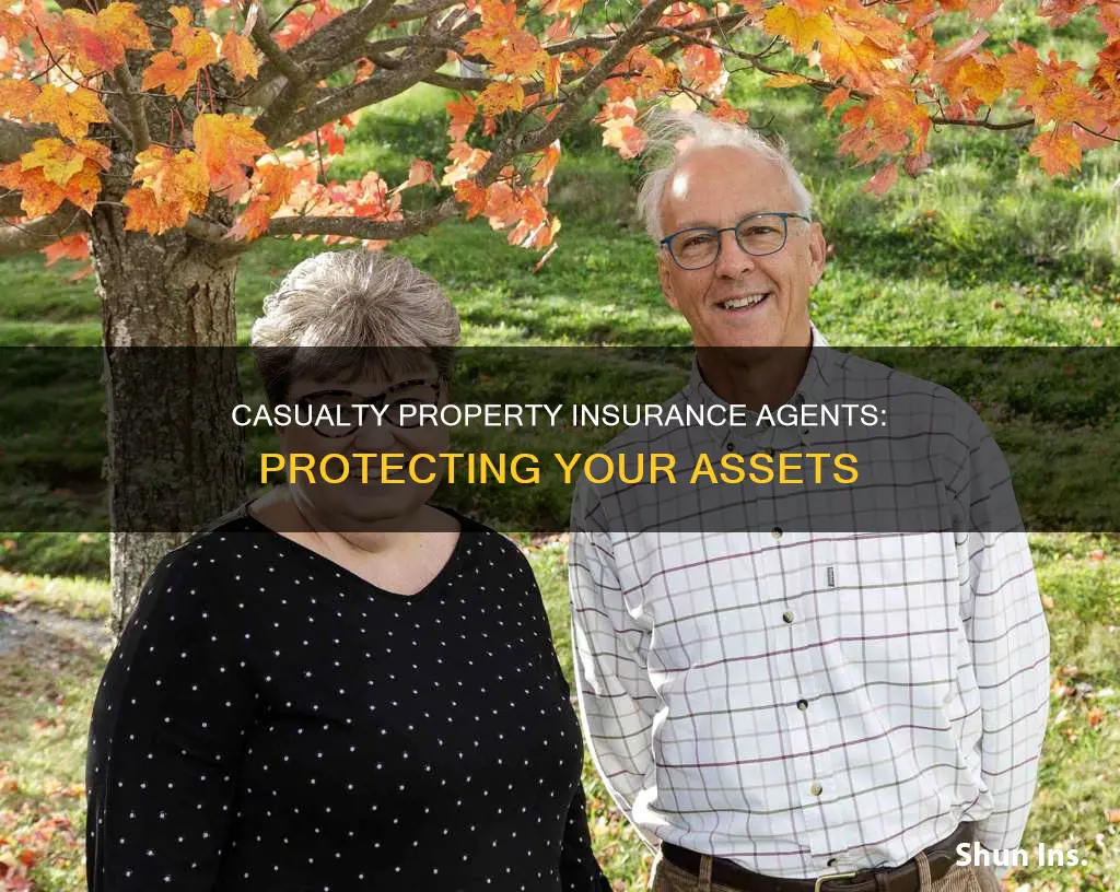 what do casulaty property insurance agents do