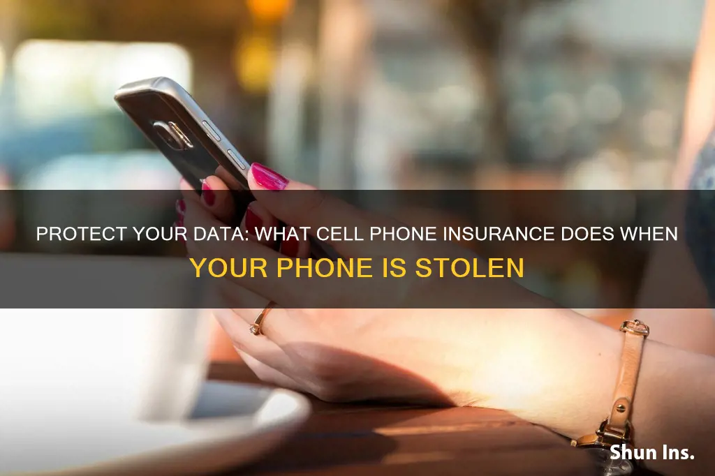 what do cell phone insurance do with stolen phone data