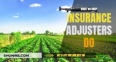 The Investigative Nature of Crop Insurance Adjusters: Unraveling the Truth in Agriculture