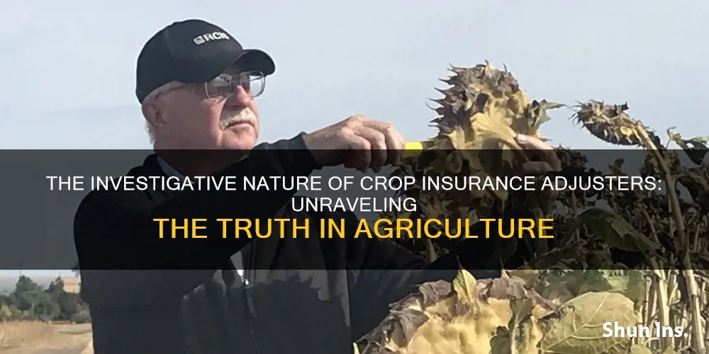 what do crop insurance adjusters do