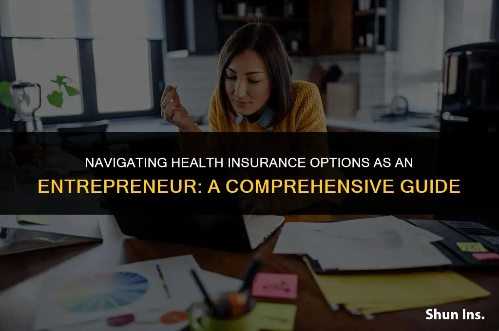 what do entrepreneurs do for health insurance
