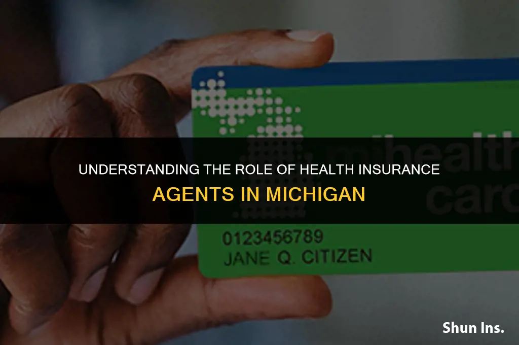 what do health insurance agents do michigan