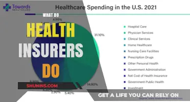 Unveiling the Role of Health Insurers: A Comprehensive Guide