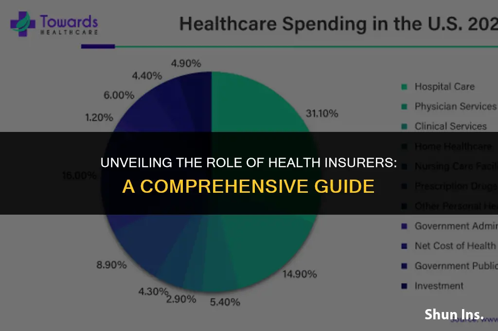 what do health insurers do