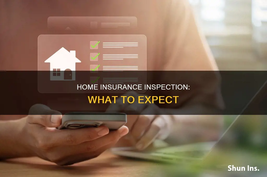 what do homeowners insurance inspectors look for