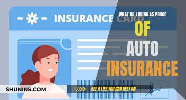 Auto Insurance Proof: What Documents to Keep Handy