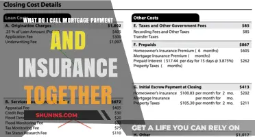 Understanding Mortgage Payment and Insurance Expenses