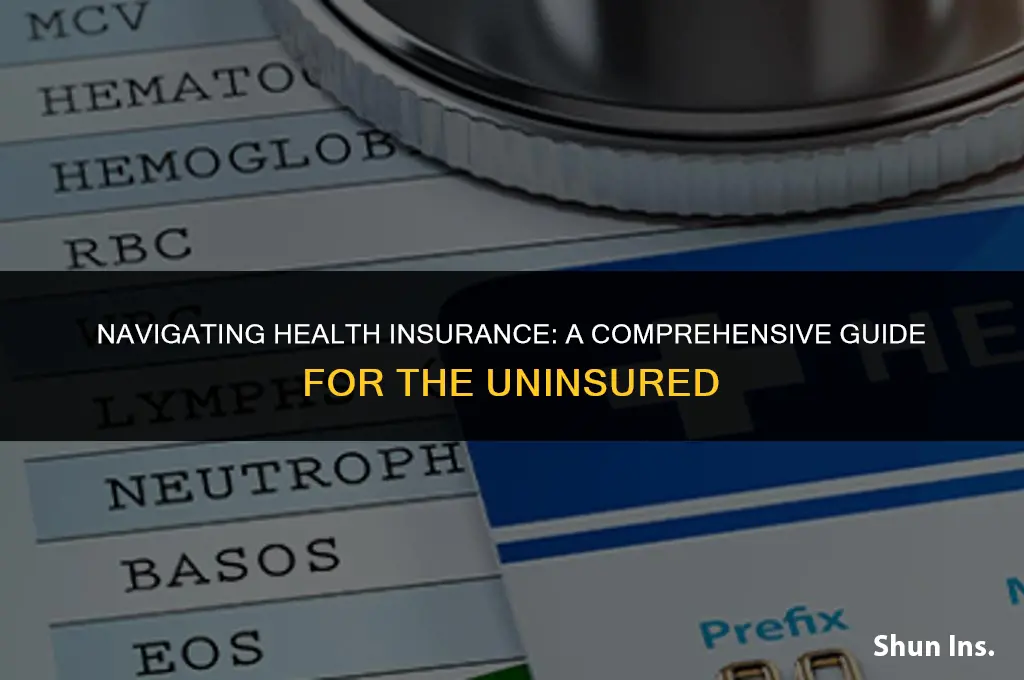 what do i do about health insurance