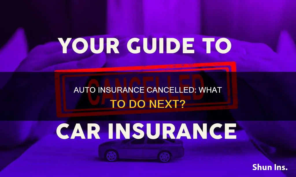 what do I do if my auto insurance is cancelled