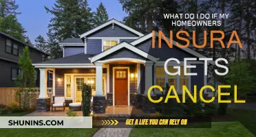 Home Insurance Cancelled: What to Do Next