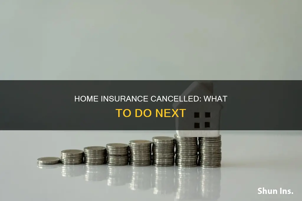 what do I do if my homeowners insurance gets cancelled