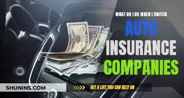 Switching Auto Insurance: What You Need to Know