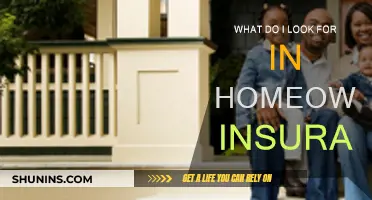 Protecting Your Home: Choosing the Right Insurance Coverage