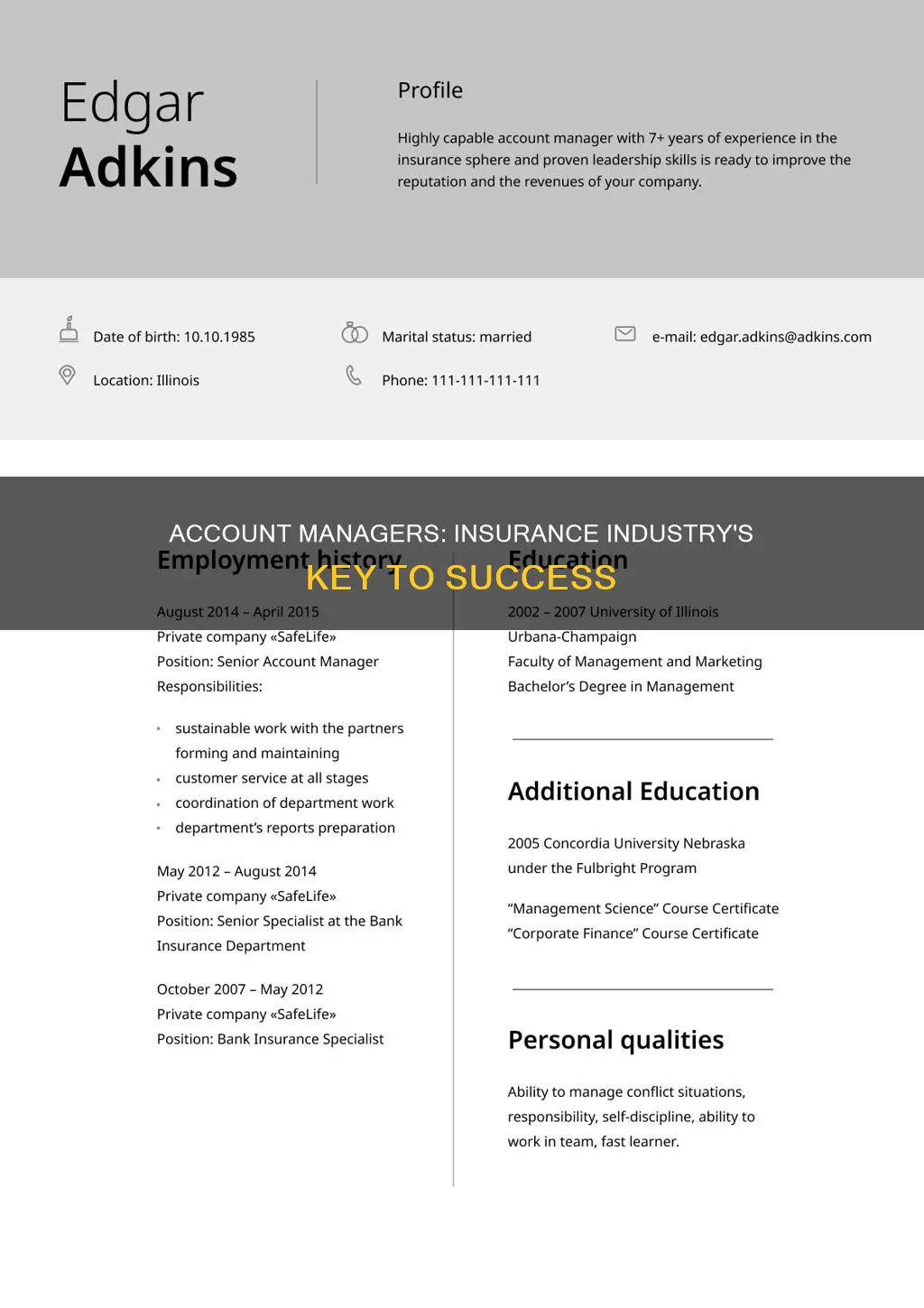 what do insurance account managers do