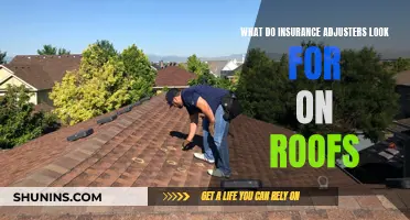 The Eagle-Eyed Approach: Insurance Adjusters' Roof Inspection Secrets