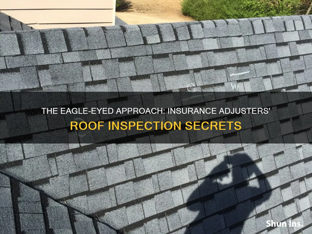 what do insurance adjusters look for on roofs