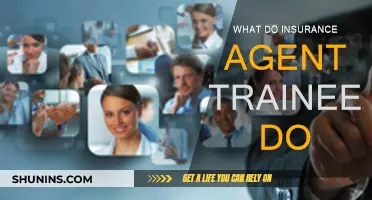 Insurance Agent Trainee: What's the Job?