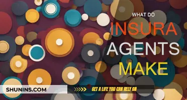 Lucrative Insurance Agent Careers: How Much Can You Make?