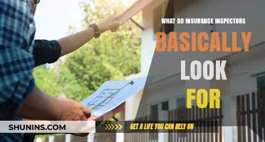 What Insurance Inspectors Check: Key Areas and Common Concerns