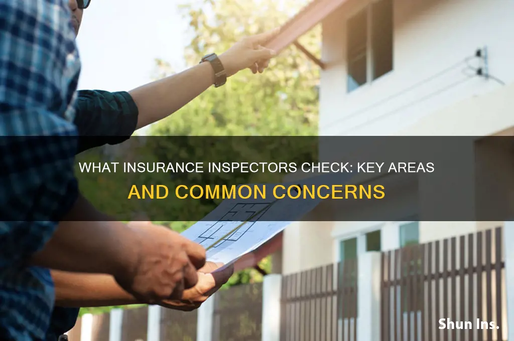 what do insurance inspectors basically look for