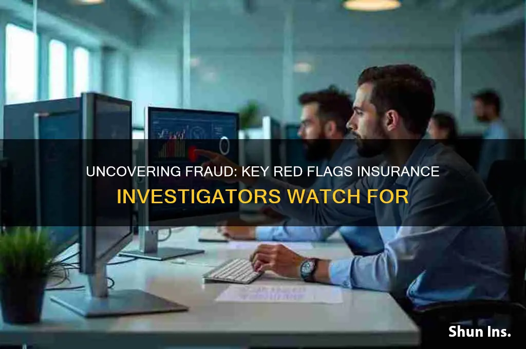 what do insurance investigators look for