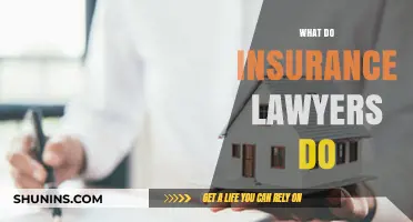 Understanding the Role of Insurance Lawyers in Claims and Disputes