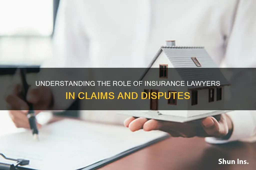 what do insurance lawyers do