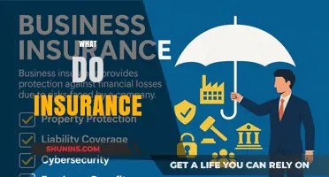 Understanding Insurance: Protecting Your Future