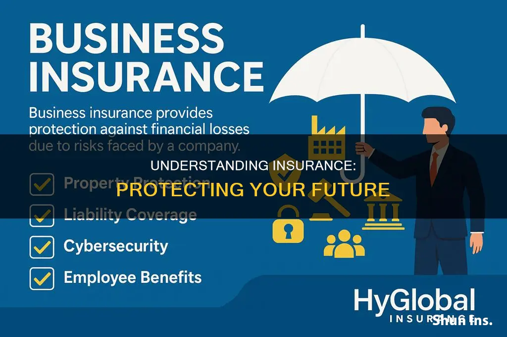 what do insurance